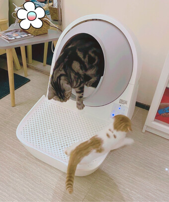自动猫砂盆