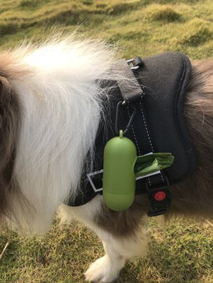 狗狗拾便袋