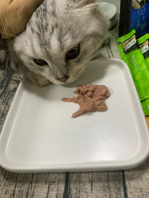 猫条猫零食