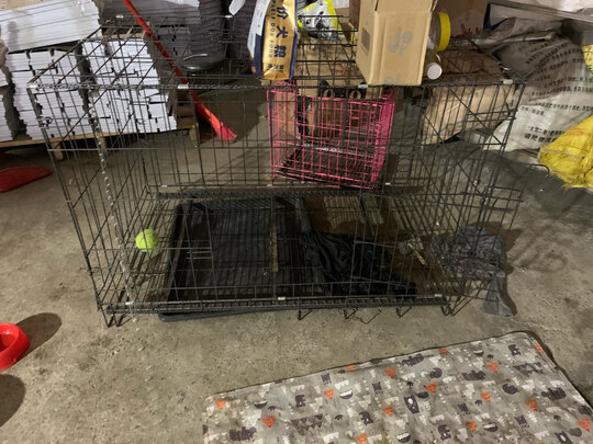 狗笼