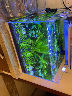 桌面鱼缸