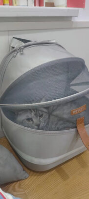 猫包