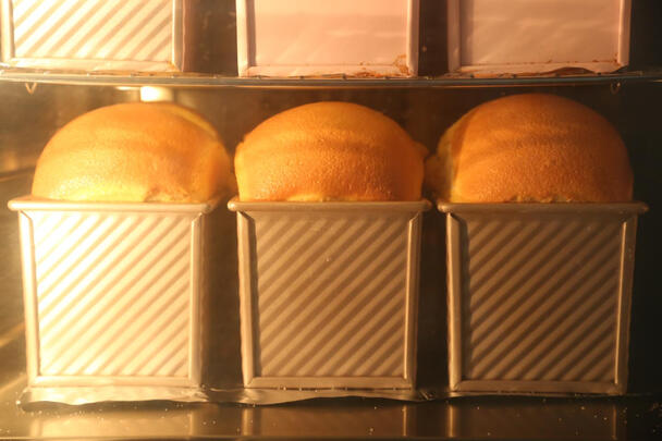 厨师机|参考剖析柏翠PE4680厨师机怎么样?深度测评剖析