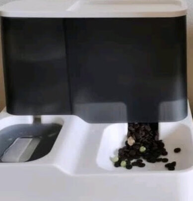 宠物饮水机