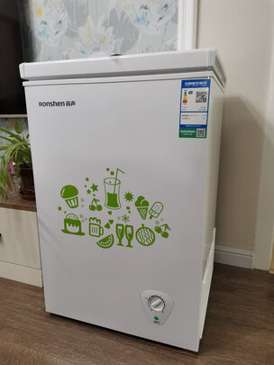 容声（Ronshen） 100升小型迷你冰柜家用冷藏冷冻转换单温冷柜 一级能效 顶开门母婴母乳小冰箱BD/BC-100MB