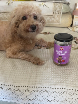 狗狗零食