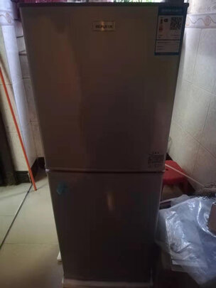 日普（RIPU）118升双门迷你小冰箱家用两门电冰箱小型节能省电低音（下冷冻3独立抽屉）一级能效BCD-118D