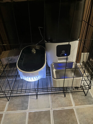 宠物自动喂食器