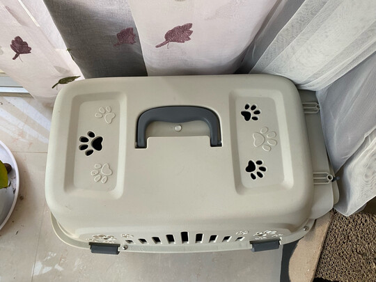 猫包