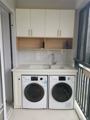 LittleSwan TG100VT86WMAD5+TH100VTH35怎么样啊?阳台适用吗