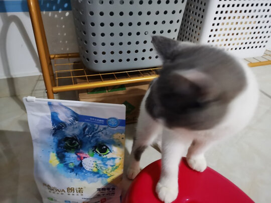 猫冻干