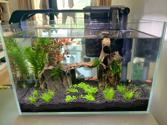 鱼缸水草灯