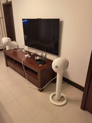 DEVIALETZP496（前车之鉴）有必要告诉大家真相