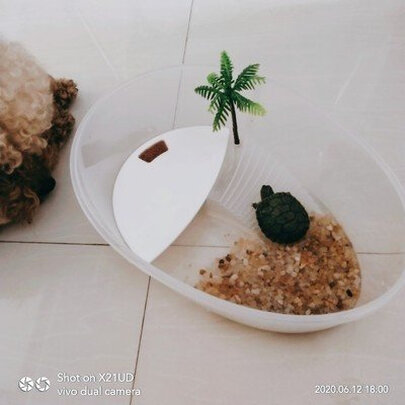 鱼缸底沙