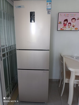 格力（GREE）晶弘230升迷你小型家用三门大冷冻电冰箱 风冷无霜 节能 离子净味 BCD-230WETCL