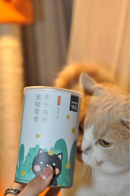 猫冻干