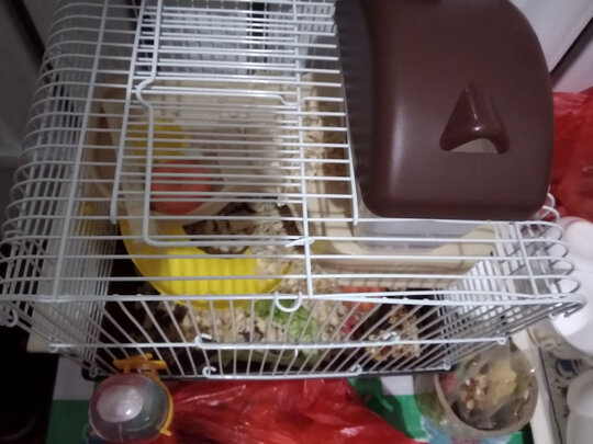 仓鼠水壶
