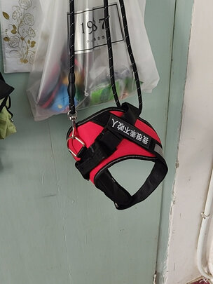 狗绳