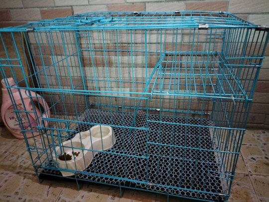  猫笼
