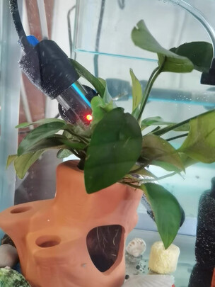 鱼缸加热棒