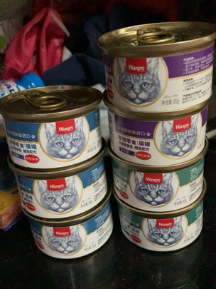 猫罐头