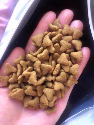 狗粮