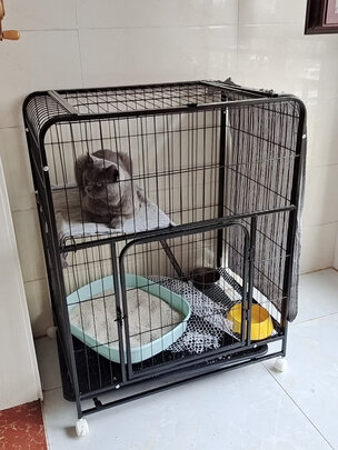  猫笼