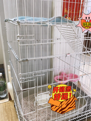  猫笼