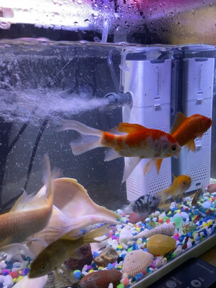 鱼缸过滤器