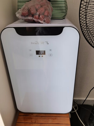 车载冰箱
