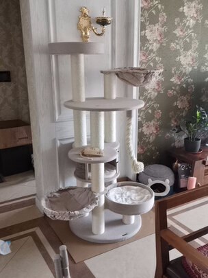 猫爬架