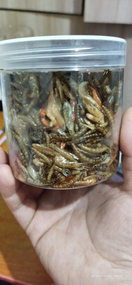 龟粮饲料
