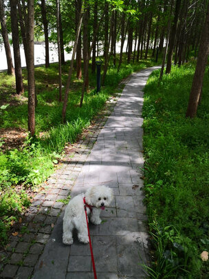 狗狗沐浴露