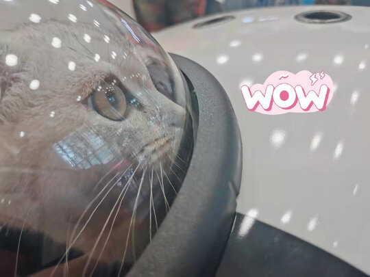 猫包