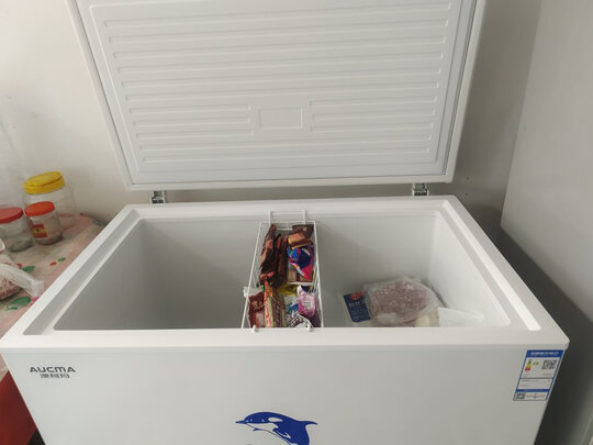 冰柜|客观评价澳柯玛BC/BD-323NE冰柜怎么样？上手三周说真相