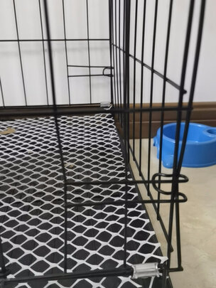 狗笼