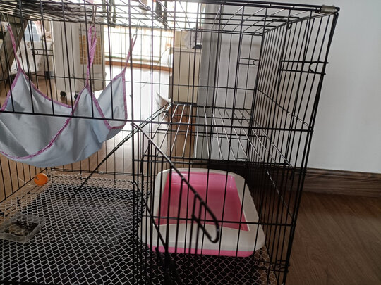  猫笼