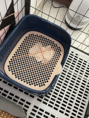 狗厕所