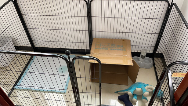 狗笼