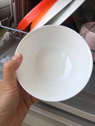 松下NP-8LZS3RN|松下洗碗机真实评测曝光，一个月不吹不黑讲感受