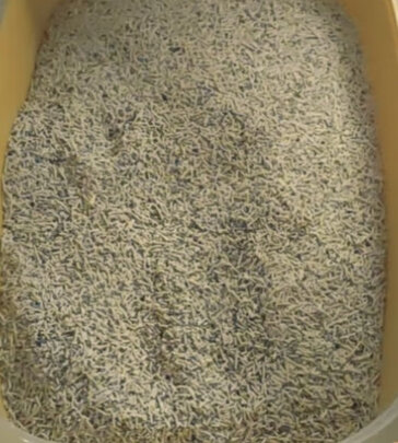 膨润土猫砂