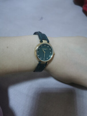 手表|蔻驰14503534手表怎么样？亲身体验告知你实情！