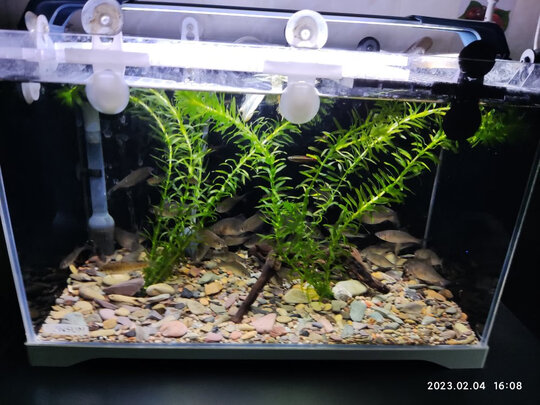 鱼缸灯led灯