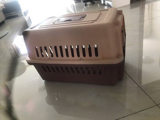猫包
