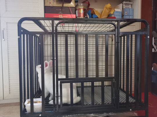  狗笼
