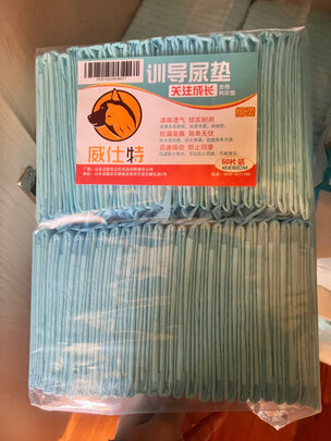 宠物纸尿裤