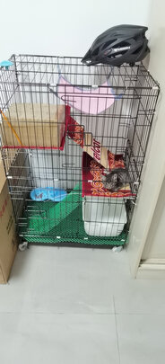  猫笼