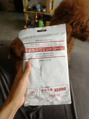 宠物湿巾