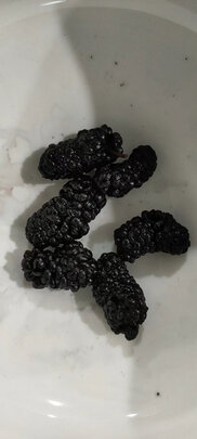 桑葚干