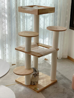 猫爬架